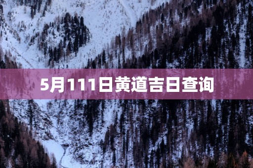 5月111日黄道吉日查询