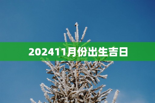 202511月份出生吉日