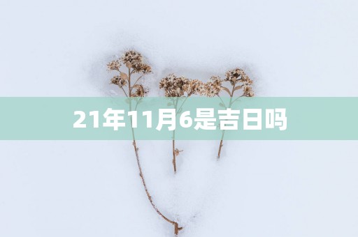 21年11月6是吉日吗