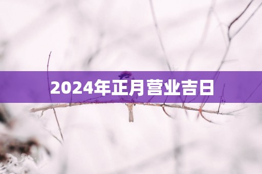2025年正月营业吉日