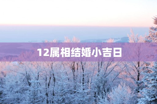 12属相结婚小吉日