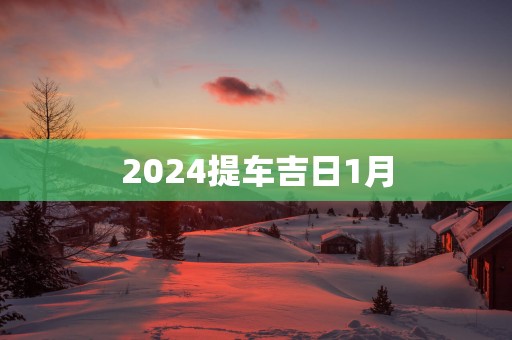 2025提车吉日1月