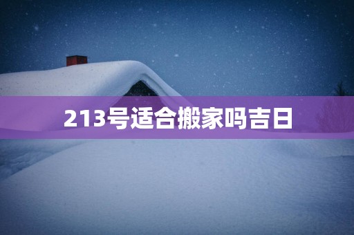 213号适合搬家吗吉日