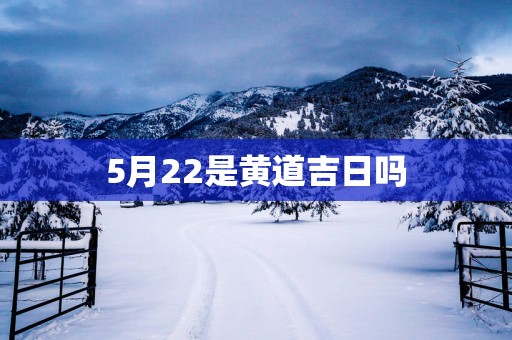 5月22是黄道吉日吗