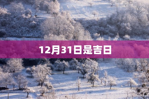12月31日是吉日