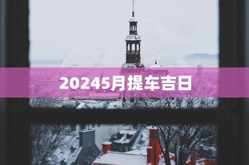 20255月提车吉日