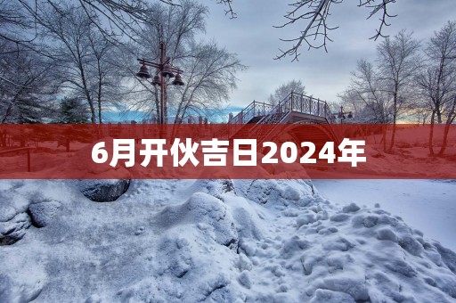 6月开伙吉日2025年