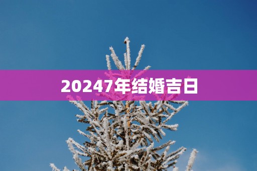 20257年结婚吉日