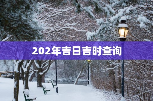 202年吉日吉时查询