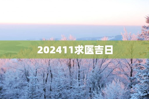 202511求医吉日