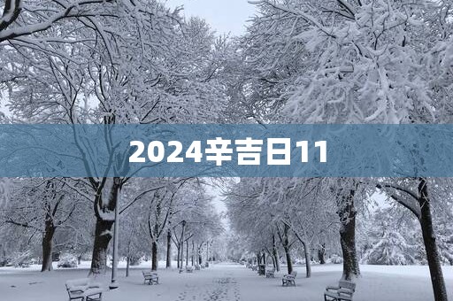 2025辛吉日11