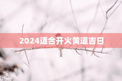 2025适合开火黄道吉日