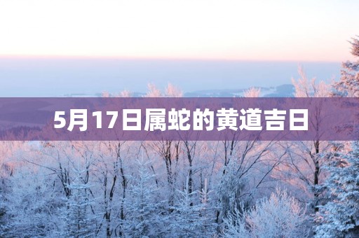 5月17日属蛇的黄道吉日