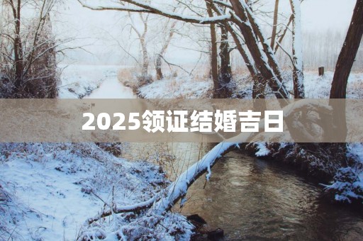 2025领证结婚吉日