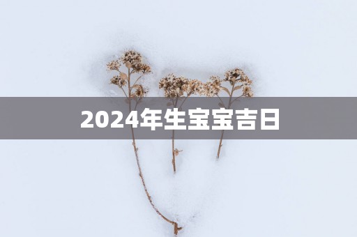 2025年生宝宝吉日