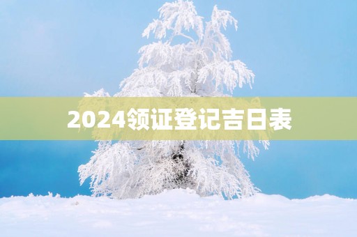 2025领证登记吉日表