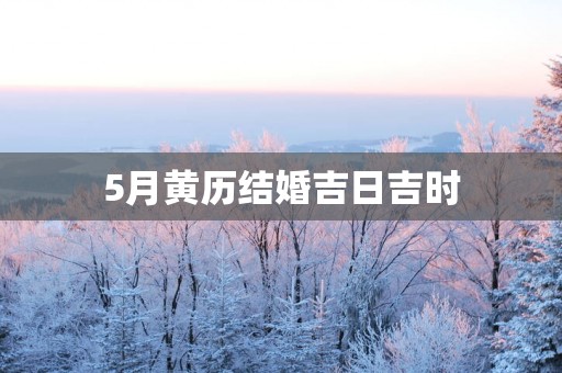 5月黄历结婚吉日吉时