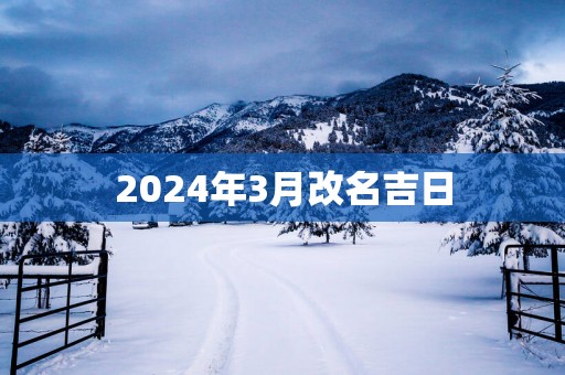 2025年3月改名吉日