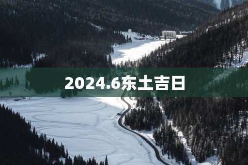 2025.6东土吉日