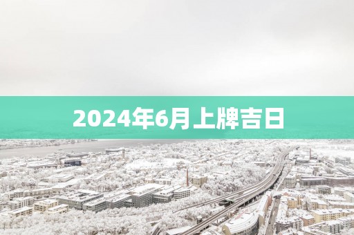 2025年6月上牌吉日