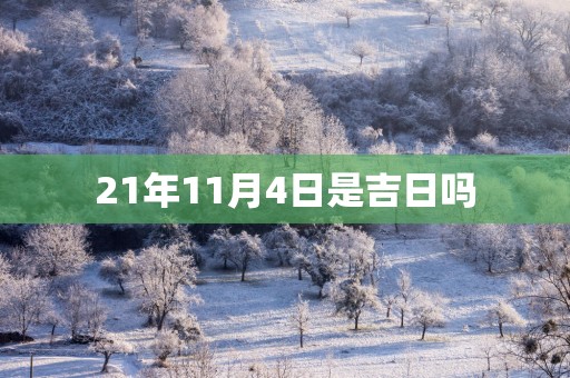21年11月4日是吉日吗