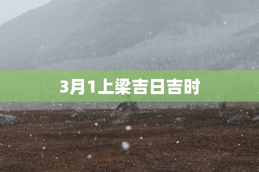 3月1上梁吉日吉时