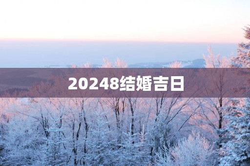 20258结婚吉日
