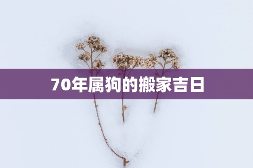 70年属狗的搬家吉日