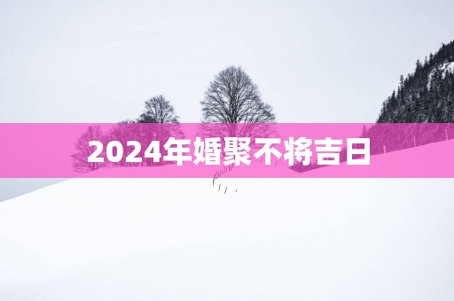 2025年婚聚不将吉日