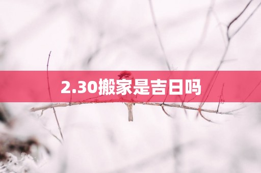 2.30搬家是吉日吗