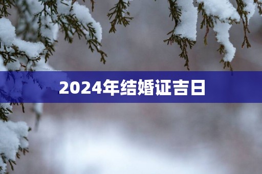 2025年结婚证吉日