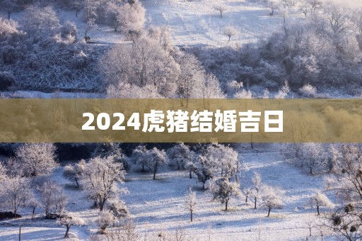 2025虎猪结婚吉日