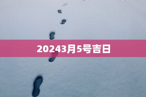 20253月5号吉日