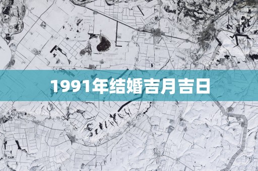 1991年结婚吉月吉日