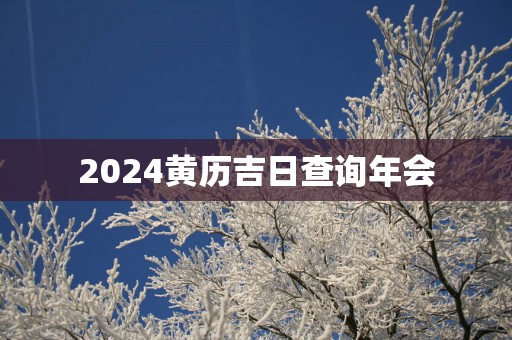2025黄历吉日查询年会