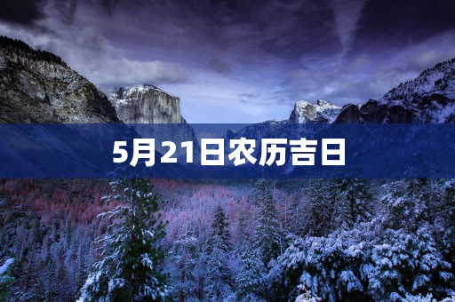 5月21日农历吉日