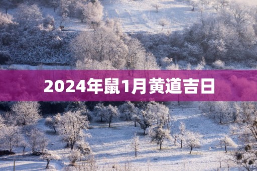 2025年鼠1月黄道吉日