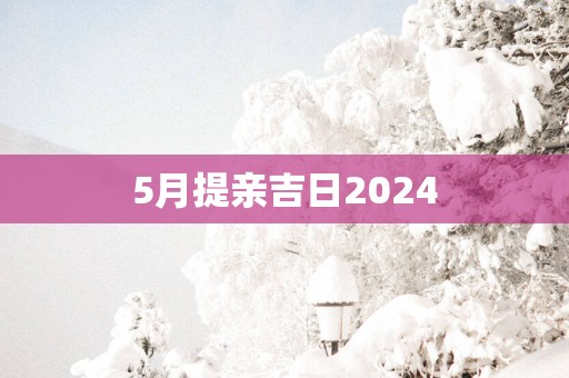 5月提亲吉日2025