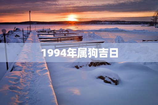 1994年属狗吉日