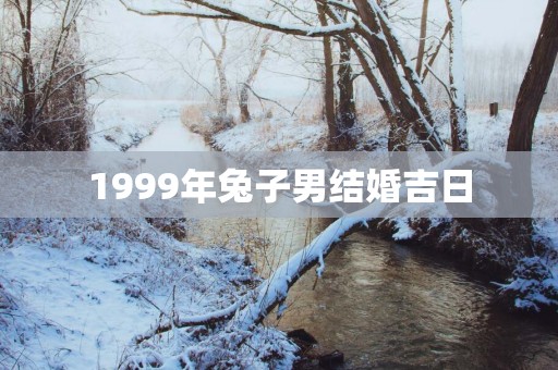 1999年兔子男结婚吉日