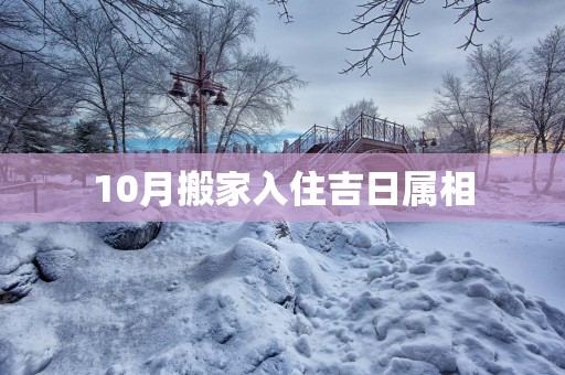 10月搬家入住吉日属相