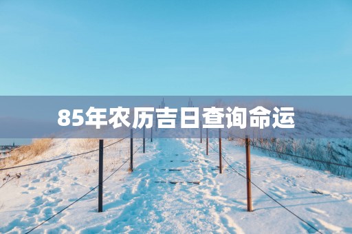 85年农历吉日查询命运