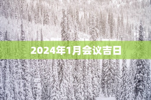 2025年1月会议吉日