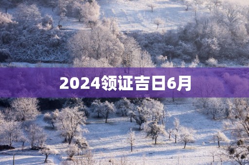 2025领证吉日6月
