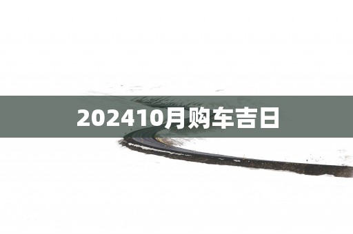 202510月购车吉日