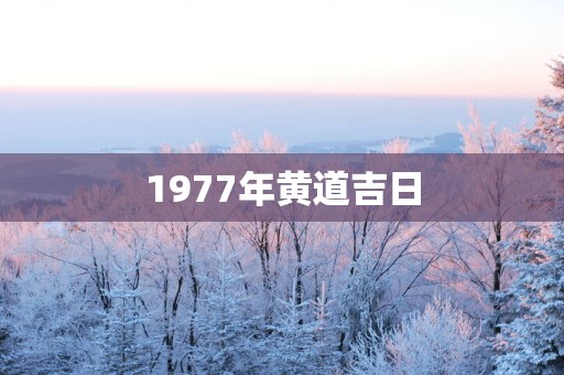 1977年黄道吉日