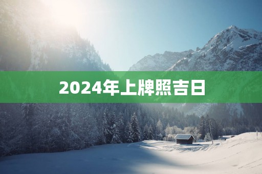 2025年上牌照吉日