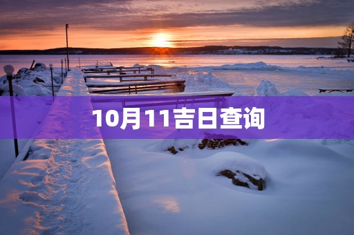 10月11吉日查询