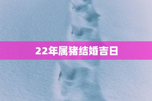 22年属猪结婚吉日