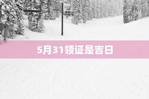 5月31领证是吉日